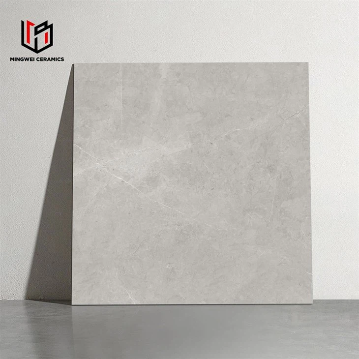 Cement Gray Matte Design Ceramic Tiles