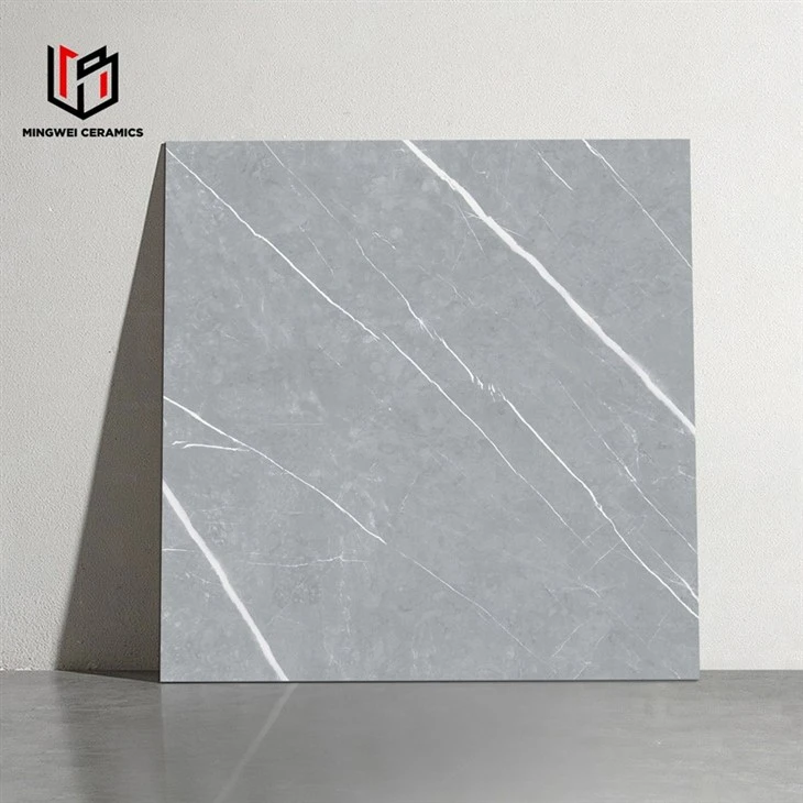Cement Gray Matte Design Ceramic Tiles