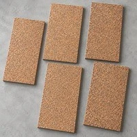 btp-06-support-01 btp-06-support-01